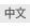 中文